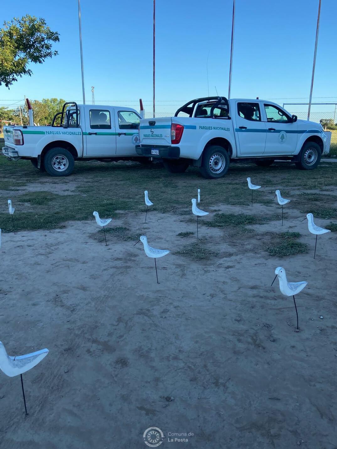 Juego de aves