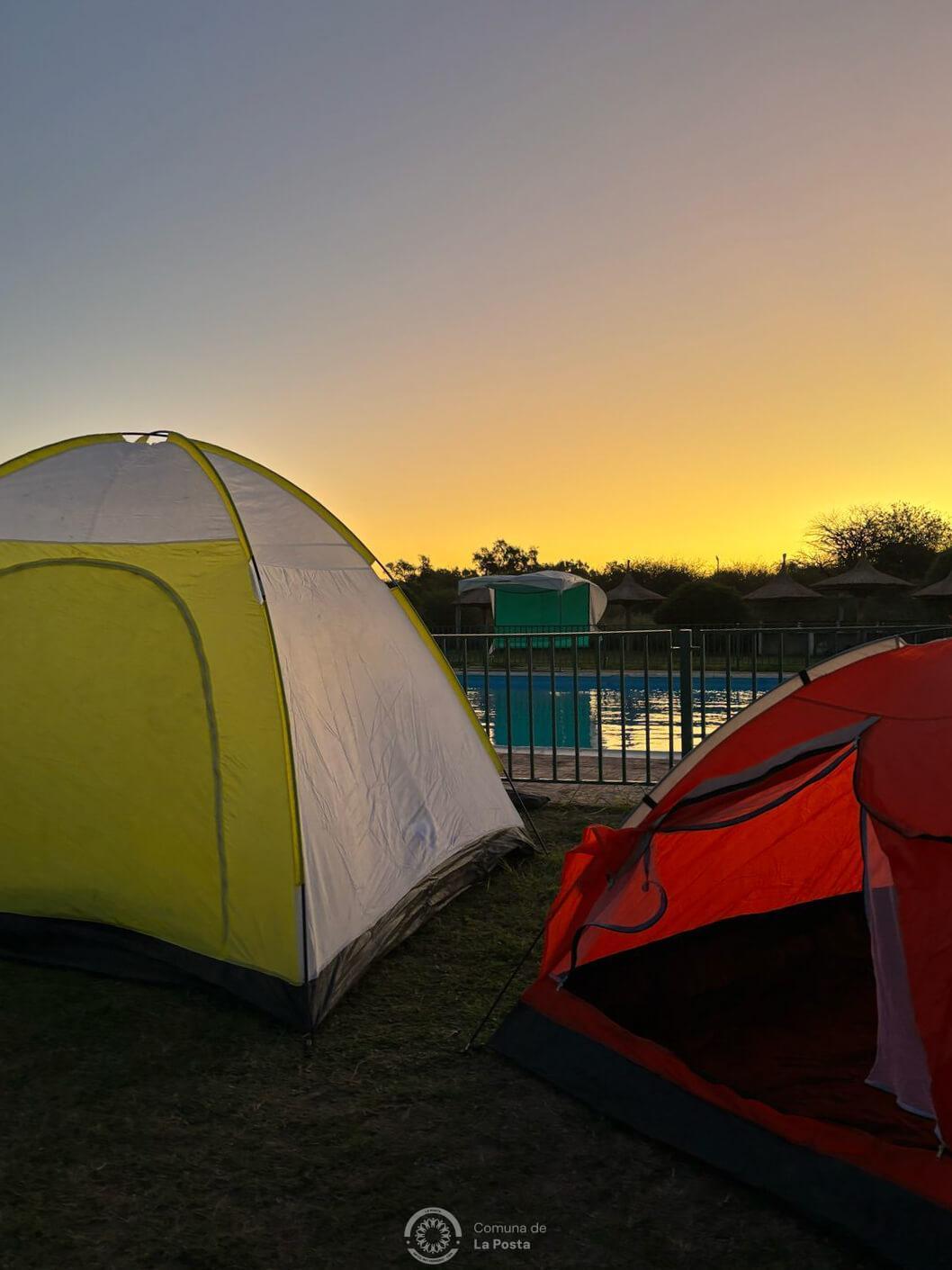 Carpas en la pileta en atardecer