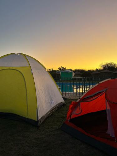 Carpas en la pileta en atardecer