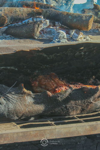 Fotos-preparativos-cierre-de-temporada-2025-3